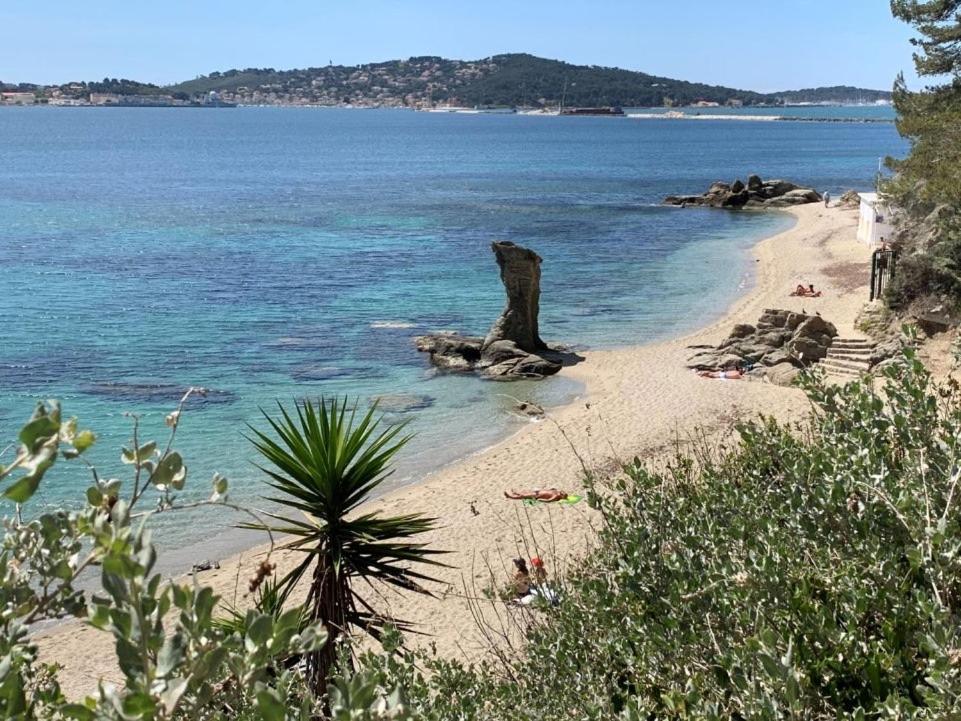 Superbe Appartement Proche Gare Toulon Extérieur photo